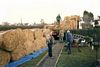 gal/Water Reed, Chester/_thb_mini-Thatching Pic (10).jpg